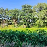 Feriehus Maisonnette Provencale Sous Les Chenes Saint-Maurice-sur-Eygues