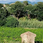 Maisonnette Provencale Sous Les Chenes *