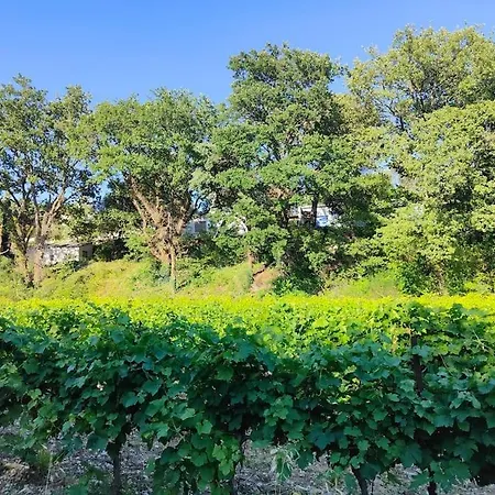펜션 Maisonnette Provencale Sous Les Chenes Saint-Maurice-sur-Eygues