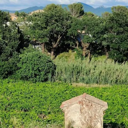 Maison Dans Un écrin De Chênes Provençale *